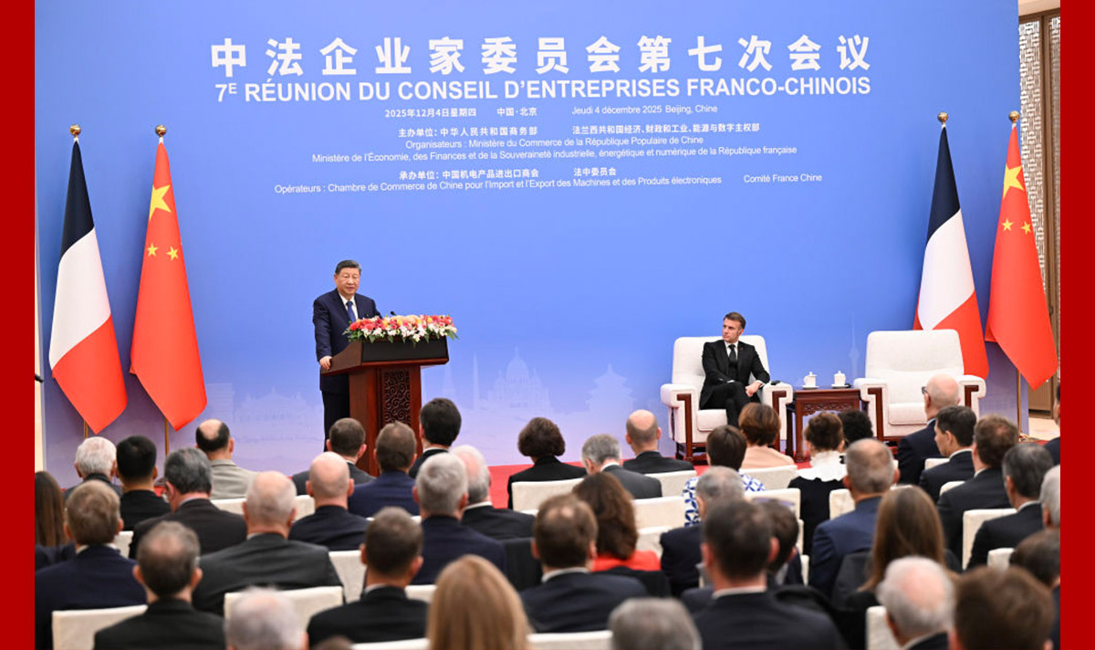 習近平出席中法企業(yè)家委員會第七次會議閉幕式并致辭